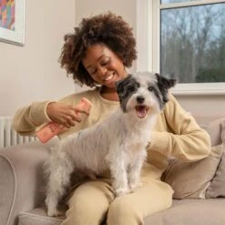 Pet Head Quick Fix Champú En Seco Para Perros -Productos Para Mascotas 159702 companyofanimals pethead quickfixspray 300ml hs 05 3