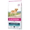 Eukanuba Breed Labrador Retriever