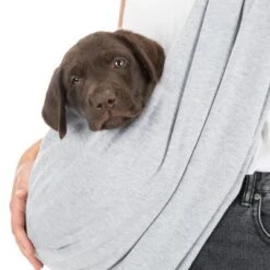 Primera página -Productos Para Mascotas 184555 trixie junior fronttasche hellgrau 22x20x60cm hs 10 5