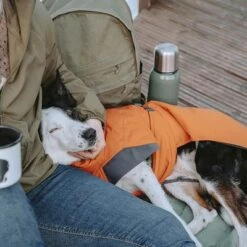 Abrigo Invernal Bare Sunrise Hurtta Para Perros -Productos Para Mascotas 188296 188297 188298 188299 188300 188301 188302 hurtta forzooplus bare winterjacke sunrise hs 20 2