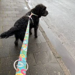 Arnés Max & Molly Donuts Para Perros -Productos Para Mascotas 190296 190297 190396 maxnmolly hg eschirr donuts hs 05 6