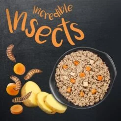 Greenwoods Insects Insectos Con Patatas Y Zanahorias 9 Greenwoods Insects Insectos Con Patatas Y Zanahorias -Productos Para Mascotas 1 greenwoods insects board 2