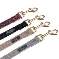 Correa Nomad Tales Calma Piedra Para Perros -Productos Para Mascotas 1 nomad tales calma leinen fg 1660 0