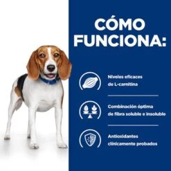 Hill's R/d Prescription Diet Weight Loss Comida Húmeda Para Perros 19 Hill's R/d Prescription Diet Weight Loss Comida Húmeda Para Perros -Productos Para Mascotas 1 pd rd dog bk24536m bk27973 how works es 6