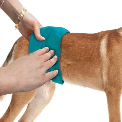 Simple Solution Pañal Lavable Para Perros Macho - Imagen 2