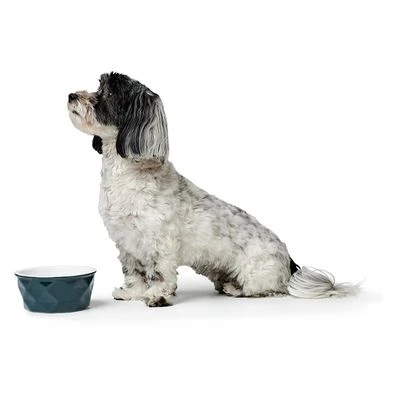 Comedero De Cerámica HUNTER Eiby Azul - Imagen 3