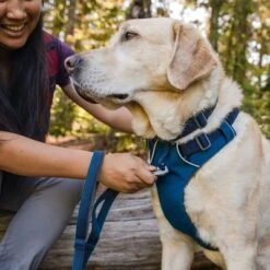 Arnés Para Perros Ruffwear Front Range, Blue Moon -Productos Para Mascotas 215603 215604 215605 accapi ruffwear frontrange hundegeschirr bluemoon hs 09 8