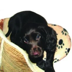 Almohadilla SnuggleSafe -Productos Para Mascotas 22802 snugglesafe heizkissen f r haustiere hs dog 1