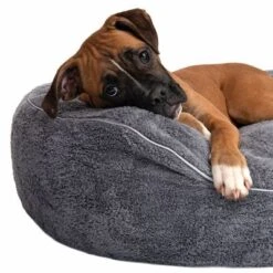 Cama Ortopédica Atlanta Modern Living Para Mascotas -Productos Para Mascotas 235197 atlanta boxer fg 9717 3