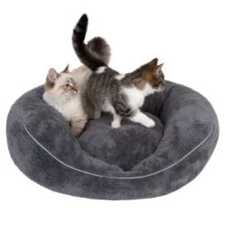 Cama Ortopédica Atlanta Modern Living Para Mascotas -Productos Para Mascotas 235396 und katze fg 9748 0