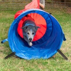 Túnel Flexible Agility Fun & Sport -Productos Para Mascotas 23801 sacktunnel agility fg 18 1