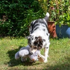 Conejo Elsie De Peluche Para Perros -Productos Para Mascotas 267996 elsie mit hund fg 3306 3