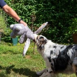 Conejo Elsie De Peluche Para Perros -Productos Para Mascotas 267996 elsie mit hund fg 3309 7