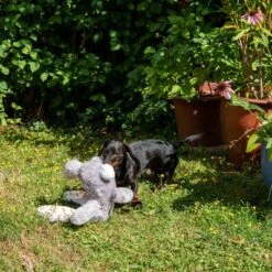 Conejo Elsie De Peluche Para Perros -Productos Para Mascotas 267996 elsie mit hund fg 3335 8