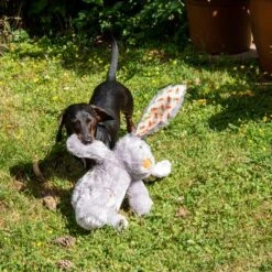 Conejo Elsie De Peluche Para Perros -Productos Para Mascotas 267996 elsie mit hund fg 3339 8