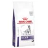 Royal Canin Expert Canine Dental Pienso Para Perros -Productos Para Mascotas 284805 pla royalcanin veterinary canine dental kg hs 01 5
