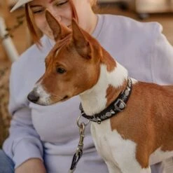 Collar Hurtta Bare Carbón Para Perros -Productos Para Mascotas 291297 291298 288343 291396 hurtta bare halsband coal hs 08 4