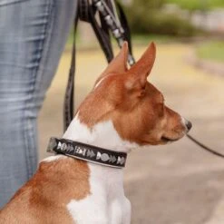 Collar Hurtta Bare Carbón Para Perros -Productos Para Mascotas 291297 291298 288343 291396 hurtta bare halsband coal hs 09 6