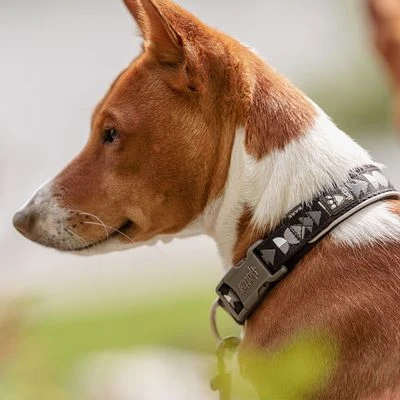 Collar Hurtta Bare Carbón Para Perros - Imagen 7