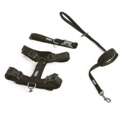 Correa Ajustable Nomad Tales Blush ébano Para Perros -Productos Para Mascotas 325396 325397 pla nomadtales blush hundeleine ebony hs 01 0