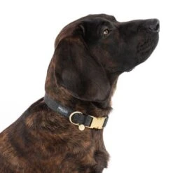 Collar Nomad Tales Calma ébano Para Perros -Productos Para Mascotas 326805 calma l ebony fg 7924 8