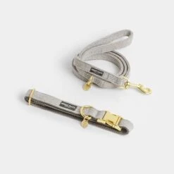 Correa Nomad Tales Calma Piedra Para Perros -Productos Para Mascotas 326806 326197 nomad tales calma halsband stone 01 7