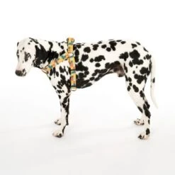 Arnés TIAKI Easy Care Para Perros -Productos Para Mascotas 332204 easy care geschirr l fg 0477 0