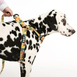 Arnés TIAKI Easy Care Para Perros -Productos Para Mascotas 332204 easy care geschirr l fg 0490 7