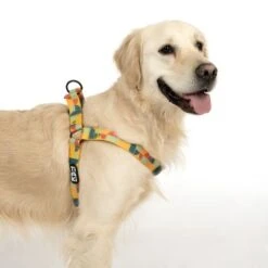 Arnés TIAKI Easy Care Para Perros -Productos Para Mascotas 332204 easy care geschirr l fg 1749 9