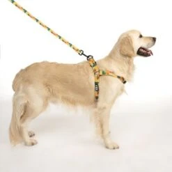 Arnés TIAKI Easy Care Para Perros -Productos Para Mascotas 332204 easy care geschirr l fg 1755 2