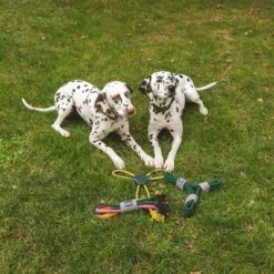 Cuerda Trébol Nomad Tales Spirit Juguete Para Perros -Productos Para Mascotas 333014 nomad tales spirit spieltau kleeblatt 03 4