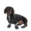 Zapatos Para Perros S & P Boots -Productos Para Mascotas 52149 hundeschuhe xs fg 0839 ret 3