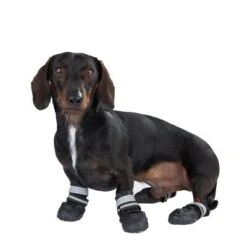 Primera página 42 Zapatos Para Perros S & P Boots