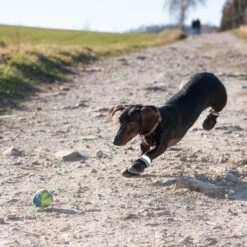 Zapatos Para Perros S & P Boots -Productos Para Mascotas 52149 hundeschuhe xs fg 0967 9