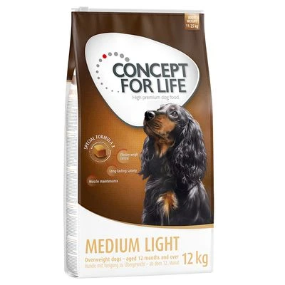 Concept For Life Medium Light 3 Concept For Life Medium Light