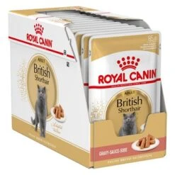 Royal Canin Breed British Shorthair -Productos Para Mascotas 72437 royalcanin britishshorthair wet pack hs 01 6