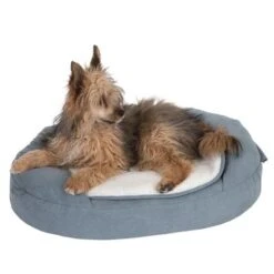 Cama Ortopédica Memory Ovalada Gris -Productos Para Mascotas 79216 memory oval grau fg 6670 1