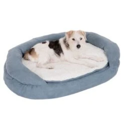Cama Ortopédica Memory Ovalada Gris -Productos Para Mascotas 79217 memory oval grau fg 6571 5
