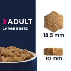 Eukanuba Adult Razas Grandes Con Pollo -Productos Para Mascotas 80538 eukanuba adult large breed kibbles 7