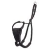 Halti Arnés Antitirada Non-Pull Harness Para Perros -Productos Para Mascotas 92497 pla coa halti no pull harness hs 02 4