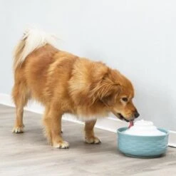 Bebedero Fuente Trixie Vital Falls De Cerámica -Productos Para Mascotas 98396 trixie trinkbrunnen vital falls keramik hs 09 2