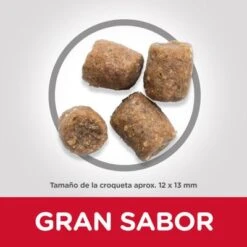 Primera página -Productos Para Mascotas atf10 604383 food shot 8