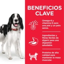 Primera página -Productos Para Mascotas atf8 604222 key benefits 4