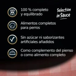 Cesar Favoritos En Salsa -Productos Para Mascotas cesar si uk 9