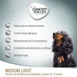 Concept For Life Medium Light 8 Concept For Life Medium Light -Productos Para Mascotas cfl board dog mediumlight 7