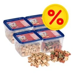 Primera página 17 Lote 2 Sabores DogMio 4 X 1 Kg