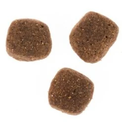 Wolf Of Wilderness The Taste Of Scandinavia 17 Wolf Of Wilderness The Taste Of Scandinavia -Productos Para Mascotas dsc2634 0