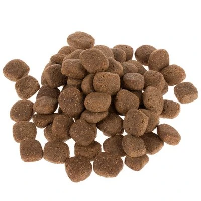 Wolf Of Wilderness The Taste Of Scandinavia 8 Wolf Of Wilderness The Taste Of Scandinavia - Imagen 6