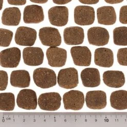 Wolf Of Wilderness The Taste Of Scandinavia 14 Wolf Of Wilderness The Taste Of Scandinavia -Productos Para Mascotas dsc2637 5