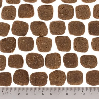 Wolf Of Wilderness The Taste Of Scandinavia 6 Wolf Of Wilderness The Taste Of Scandinavia - Imagen 4